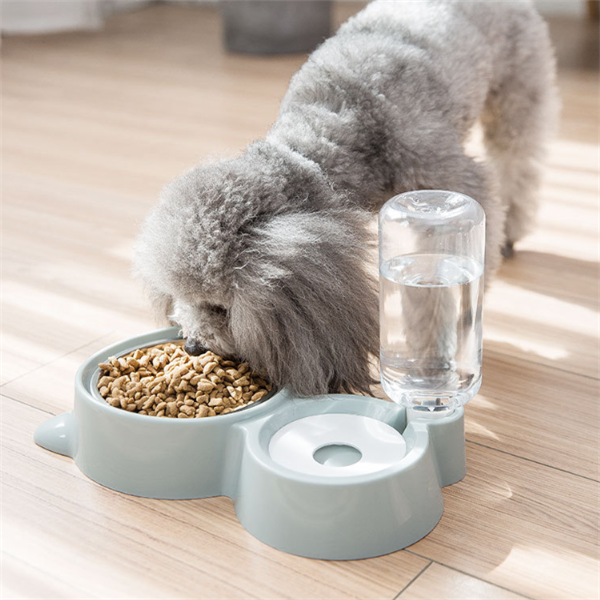 Pet Bowls
