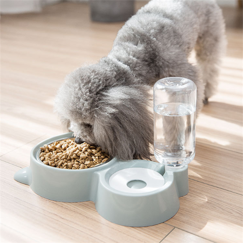 Pet Bowls