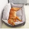 Dog bed sofa bed
